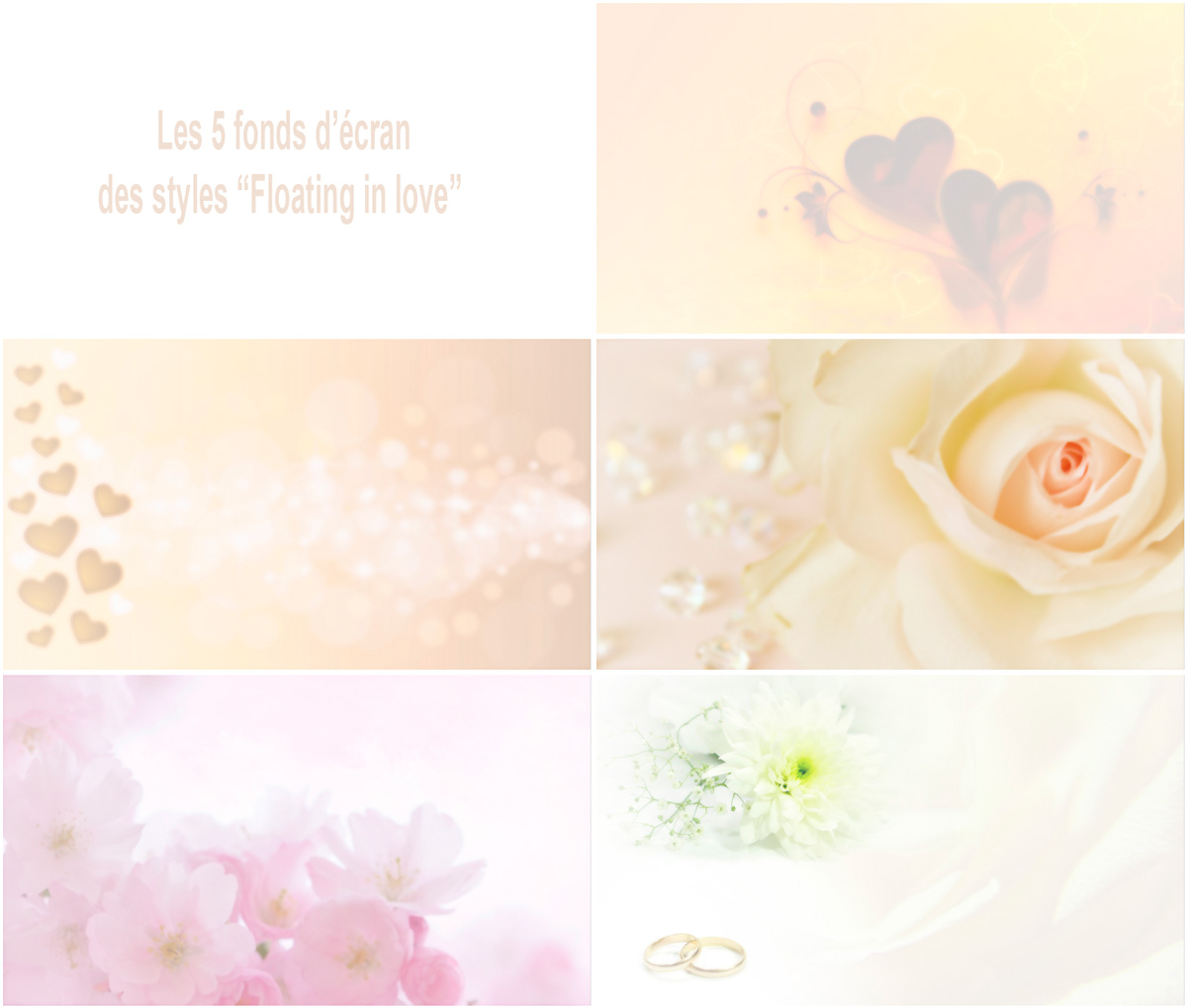 The 5 wallpapers of the &quot;Floating in love&quot; styles